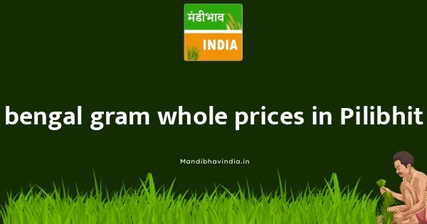 bengal gram whole price